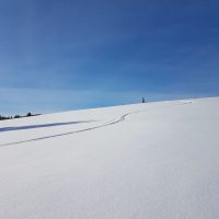 Schwarzwald Backcountry - Backcountry Skifahren im Schwarzwald